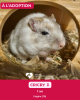Cricy