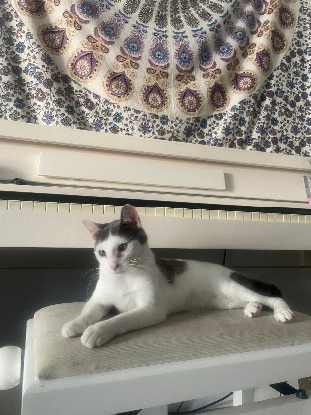 Adopter Oudinette