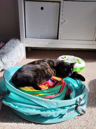 Adopter Wendy