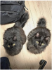 Duster et plumeau