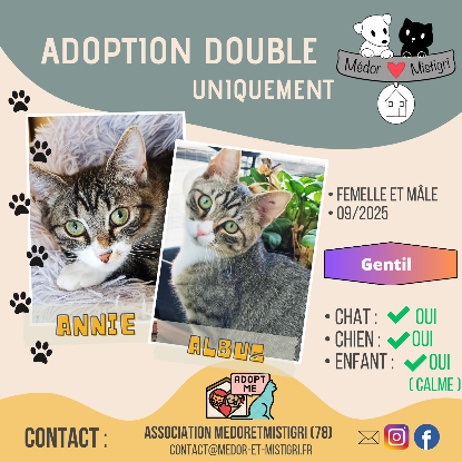 Adopter Annie et albus