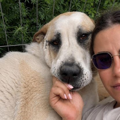 Adoption Baloo