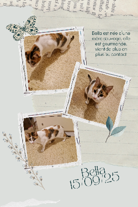 Adopter Bella