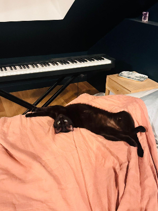 Adopter Minuit