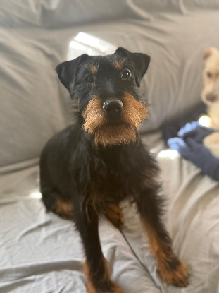 Adopter Valeria