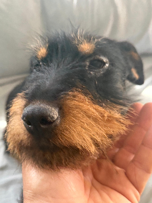Adopter Valeria