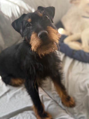 Adoption Valeria
