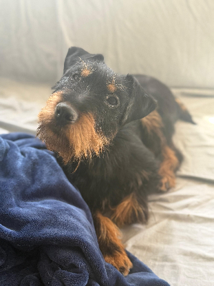 Adoption Valeria