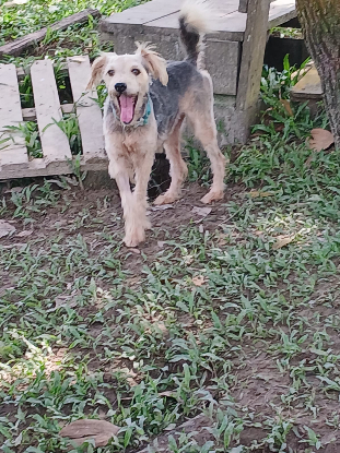 Adoption Happy