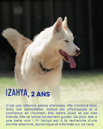 Adopter Izayah
