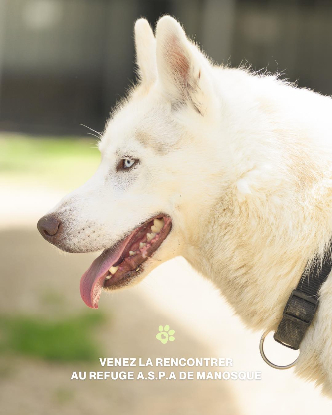Adoption Izayah