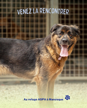 Adoption Gerda