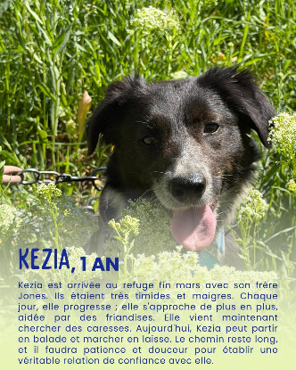 Adopter Kezia