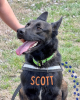 Scott