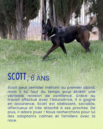 Adopter Scott