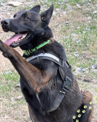 Adopter Scott