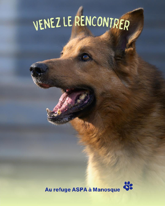 Adoption Vince