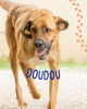 Doudou