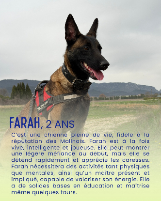 Adopter Farah