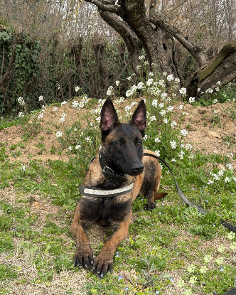 Adopter Farah