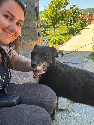 Adopter Mysty