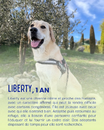Adopter Liberty