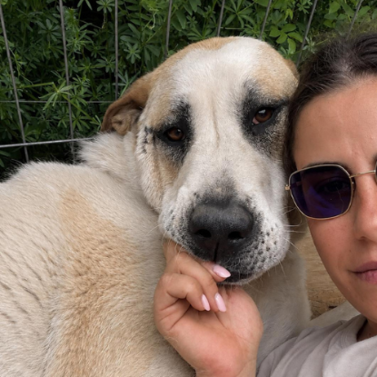 Adoption Baloo