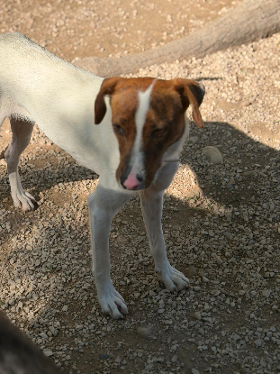 Adopter Claudia