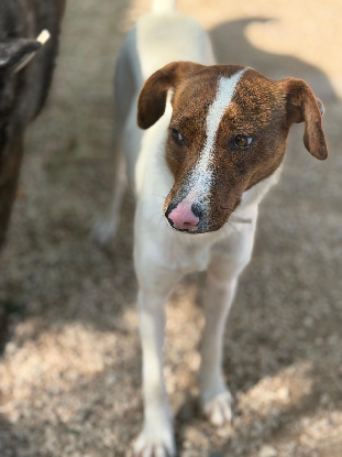Adopter Claudia