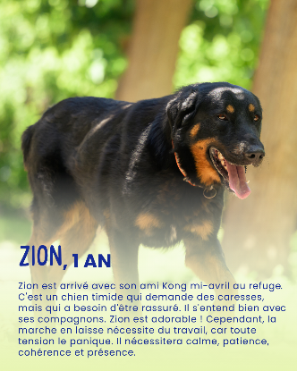 Adopter Zion