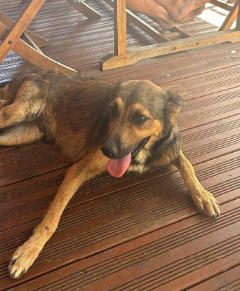 Adopter Gaïa