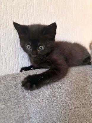 Adopter Winnie