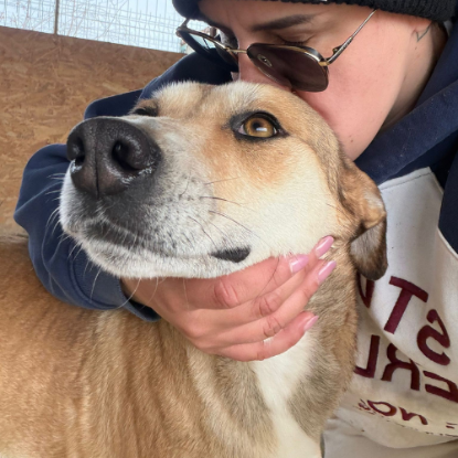 Adopter Luna