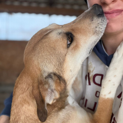 Adopter Luna