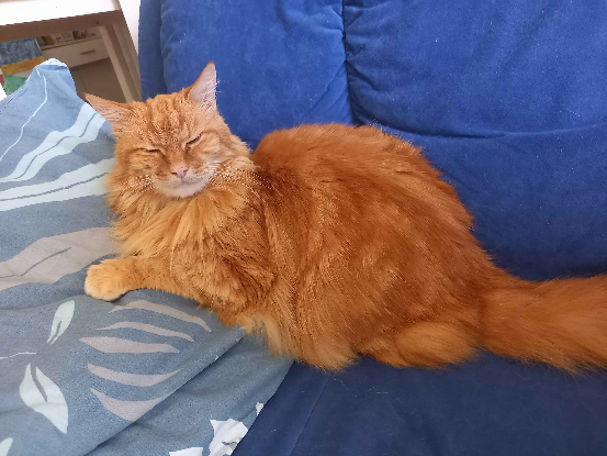 Adopter Saroumane