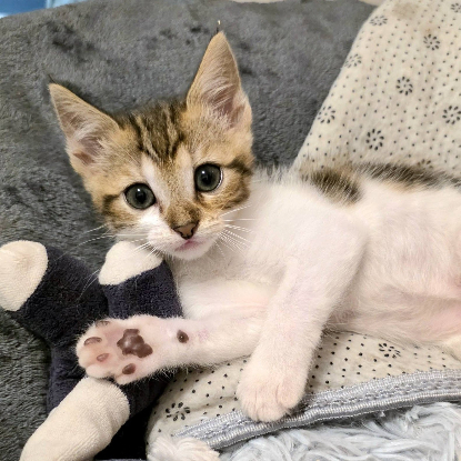 Adopter Tina
