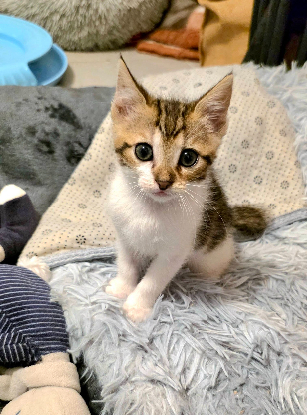 Adopter Tina