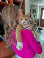 Adopter  chat : Neko