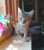 Beth