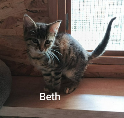 Adopter Beth