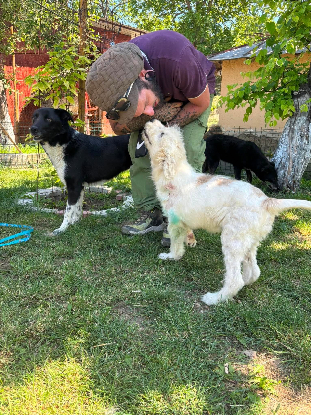 Adoption Boris