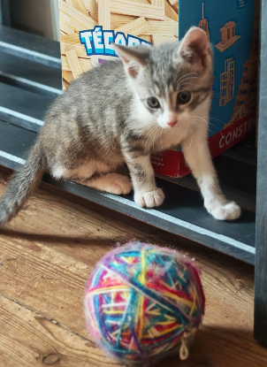 Adoption Mélia