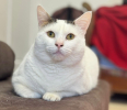 Mimi