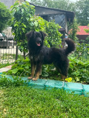 Adopter Nyx