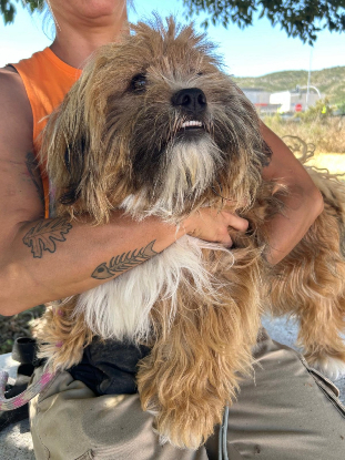 Adopter Leon