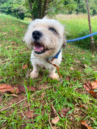 Adopter Duncan