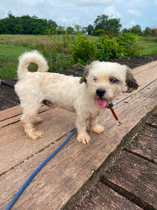 Adoption Duncan