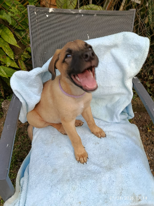 Adopter Keaton