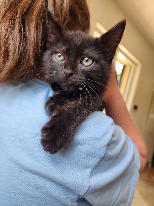 Adopter Kalinou