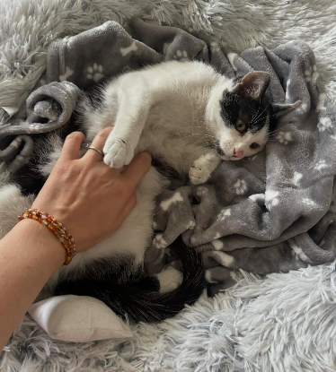 Adopter Bonita alias bonnie
